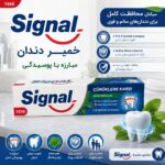 خمیر دندان سیگنال(Signal ) با طعم نعناع  Çürüklere Karşı حاول فلوراید حجم 100 میلی لیتر - Image 2